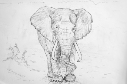 elefante